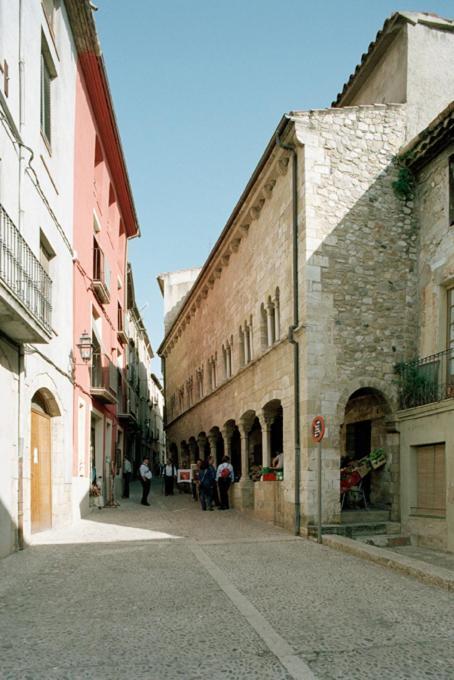 Apartamentos Saltarel-Lo Besalú Exterior foto
